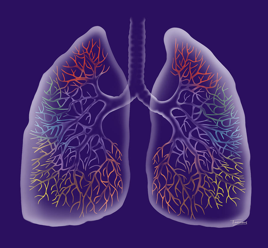 NPR Medicare Poised To Cover CT Scans To Screen For Lung Cancer